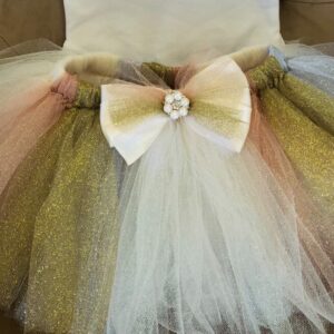 Rose Cream and Gold Tutu - Image 3