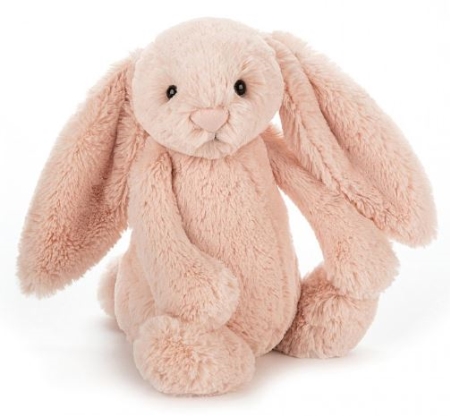 JC-BLUSH-TyCHe-wYEQG-Lufuw