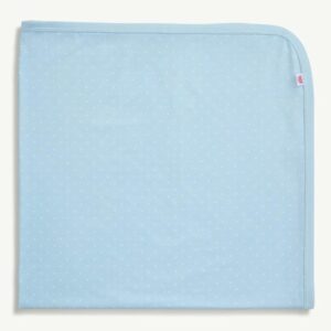 Blue Pin Dot Baby Blanket