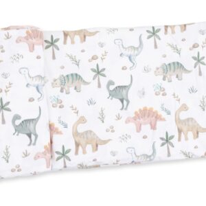 Baby Dinos Swaddle Blanket